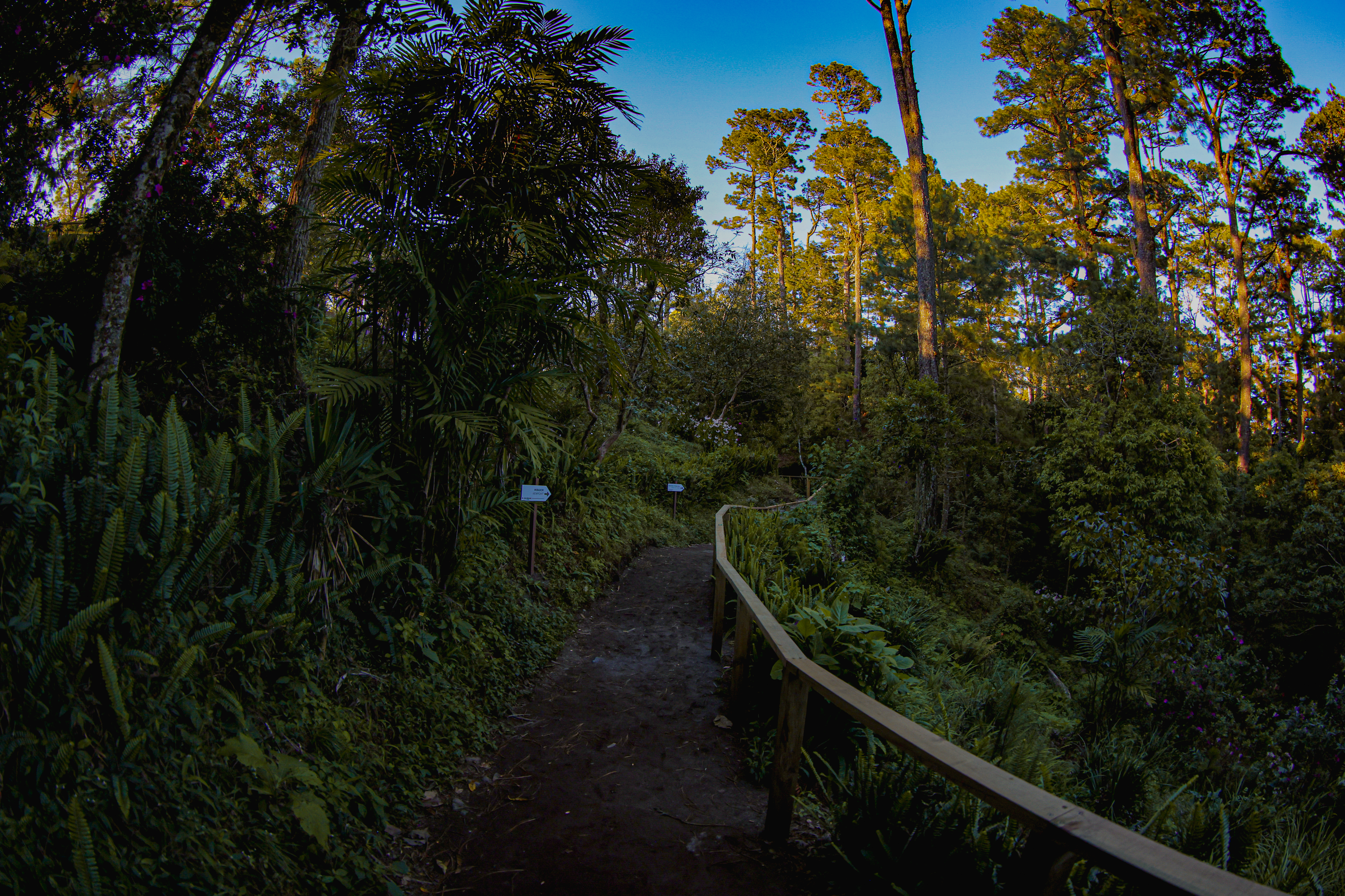 Photo from Parque Nacional El Boquerón